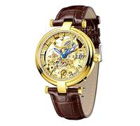 CARLIEN Skeleton Automatic Steampunk Watches Gold-Tone Luminous Hands Leather Strap Wrist-Watch, Brown, 40mm, Retro