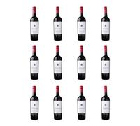 Carlomagno Primitivo Appassimento 12 x 75cl | 14% ABV | Italian Red Wine | Rich, Full-Bodied & Velvety | from Puglia | Ideal with Red Meat, Pasta & Cheese | Pack of 12