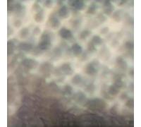 Carlos Cipa - Ourselves, as we are [VINYL]