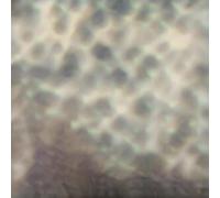 Carlos Cipa - Ourselves, as we are [VINYL]