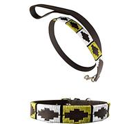 Carlos Diaz Genuine Leather Waxed Embroidered Polo Dog Collar + Free Matching Lead L