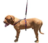 CARLOS DIAZ Genuine Leather Waxed Embroidered Polo Dog Matching Easy Control No Pull Back Harness and Lead Set M