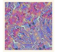 CARLOS NINO & FRIENDS - PLACENTA [VINYL]