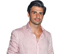 Carlos Sainz Jr (Pink Shirt) Half Body Buddy Cutout