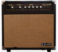 Carlsbro Sherwood 20 Acoustic Guitar Combo
