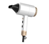 Carmen DC Pro Hair Dryer in White
