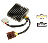 Carmo Electronics Carmo lithium-ion alternator regulator APRILA VAR.