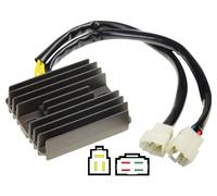 Carmo Electronics Carmo lithium-ion alternator regulator TRIUMPH VAR.