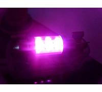 CarModShop 31MM-Px2 2 X Pink 4 LED Interior Festoon Bulbs Lighting Lamp Spare Part 12V Car Van 269