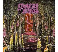 CARNAL TOMB - EMBALMED IN DECAY