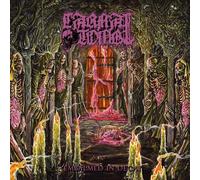Embalmed In Decay