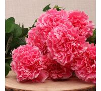 Carnation Bush - Pink Artificial Flowers
