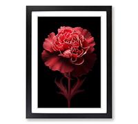 Carnation Flower Conceptual Framed Print | A2 Black Framed Wall Art | Ready to Hang | Modern Floral Picture | Living Room Bedroom Lounge Office