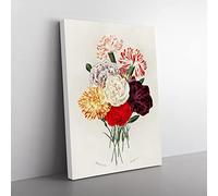 Carnation Flowers By Charles D' Orbigny Vintage Canvas Wall Art Print Ready to Hang, Framed Picture for Living Room Bedroom Home Office Décor, 50x35 cm (20x14 Inch)