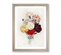Carnation Flowers By Charles D' Orbigny Vintage Framed Print | A4 Oak Framed Wall Art | Ready to Hang | Classic Floral Picture | Living Room Bedroom Lounge Office