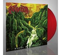 Carnation - Where Death Lies (Red Vinyl) [VINYL]