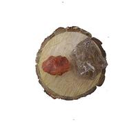 Carnelian And Smoky Quartz Aaa Grade Raw Natural Crystal Combo With Wooden Natural Bark Coaster For Healing, Meditation And Manifestation-B0BXY4C2MRNAMZ
