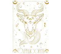 Carnet de note : capricorne: Notebook astro