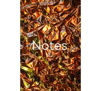 Carnet de Notes: 100 pages lignées pour l’écriture, la prise de notes ou l’organisation