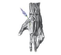 Carnet de Notes - Notebook - Poetic Anatomy Collection : the hand: (couverture vernis, papier crème)