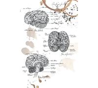 Carnet de notes - Notebook : Vintage anatomy collection : the brain