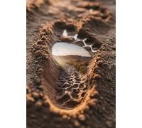 Carnet de notes Traces de la nature: A5, Couverture souple, 240 pages lignées, Brillant