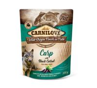 Carnilove Dog Pate Pouch 300g - Carp with Black Carrot