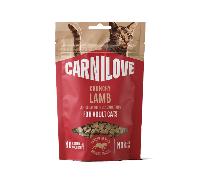 Carnilove Crunchy Lamb Enriched with Blackberries Cat Treats - 50g