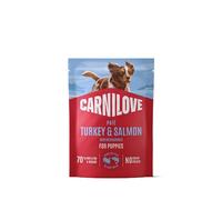 Wet Dog Food VAFO PRAHA s.r.o. CARNILOVE Dog SASZ.300G Salmon and Blueberries Puppie / 12