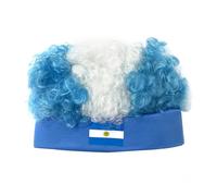 Carnival Afro Wig - Curly Party Hairpiece | Flag Design Costume Accessories | Argentina Flag Patterned Afro Curly Wig Headwear for Sports Events Festive Cheering Hairstyle by Fu