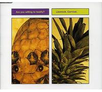 Carnival-Are you willing to testify?