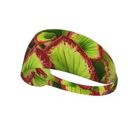 Carnivorous Plant Print Sports Headbands For Men Women, Moisture Wicking Sweat Band Elastic Wide Hair Bands,For Running, Cycling,Gym Exercise