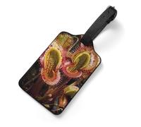 Carnivorous Plant Tag Luggage with Name Card Identifiers Leather Identifiers Travel Tags Backpack Tag for Long Flight Must Travels Gift Airport Essentials 2.8 X 4.7 in