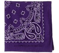 Carolina HAV-A-Hank Paisley Bandanna 22"X22", Purple