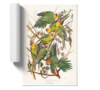 Carolina Parrots by John James Audubon Art Print | Unframed Poster, A2 | Ready to Frame, 260gsm Satin Photo Paper, Fade-Resistant Inks, Wall Art for Living Rooms, Bedrooms and Offices