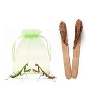 Carolina Praying Mantis Egg Case on a Wooden Stick Attached,with Outdoor Hatching Bag(Two Carolina Praying Mantis Eggs) -Includes 50-200 Nymphs | Perfect for STEM Education, Eco-Friendly Garden