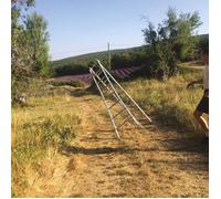 Caroline Dark blue (Vinyl) (US IMPORT)