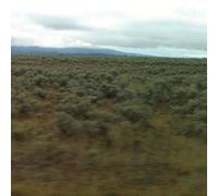 Caroline Says - 50,000,000 Elvis Fans Can'T Be Wrong