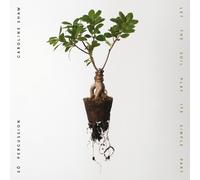 Caroline Shaw Caroline Shaw: Let the Soil Play Its Simple Part (CD) (US IMPORT)