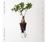 Caroline Shaw & Sō Percussion - Let the Soil Play Its Simple Part