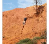 CAROLINE: SKYDIVING ONTO THE LIBRARY ROOF - 12" vinyl