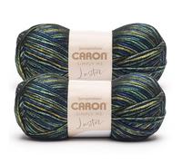 Caron Simply Me Luster Adventurine Yarn - 2 Pack of 170g/6oz - 65% Nylon, 35% Acrylic - #4 Worsted (Medium) - 360 Yards - Knitting/Crochet