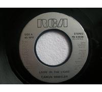 Caron Wheeler - Livin' In The Light [12" VINYL]