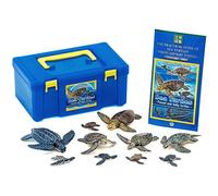 Carorata Children's Box with Sea Turtle Design 3D Picture Book Reptiles Sea Turtle Realistic with Instructions Included