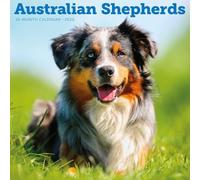 Carousel Calendars, Australian Shepherds 2026 Wall Calendar, 12'' X 12'', 16-Month Calendar with Stapled Binding