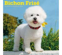 Carousel Calendars, Bichon Frise 2026 Wall Calendar, 12'' X 12'', 16-Month Calendar with Stapled Binding