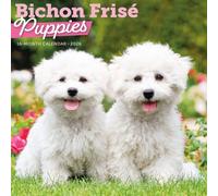 Carousel Calendars, Bichon Frise Puppies 2026 Wall Calendar, 12'' X 12'', 16-Month Calendar with Stapled Binding