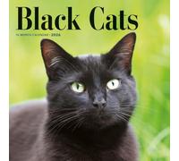 Carousel Calendars, Black Cats 2026 Wall Calendar, 12'' X 12'', 16-Month Calendar with Stapled Binding
