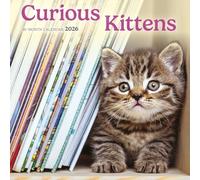 Carousel Calendars, Curious Kittens 2026 Mini Wall Calendar