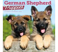 Carousel Calendars, German Shepherd Puppies 2026 Wall Calendar, 12'' X 12'', 16-Month Calendar with Stapled Binding